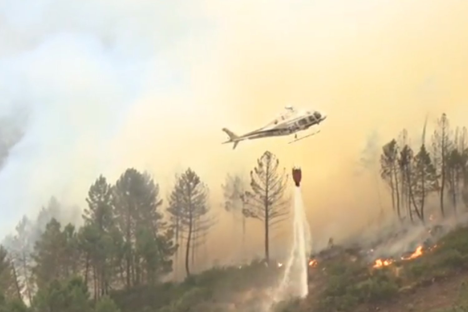 incendio hurdes 14 julio