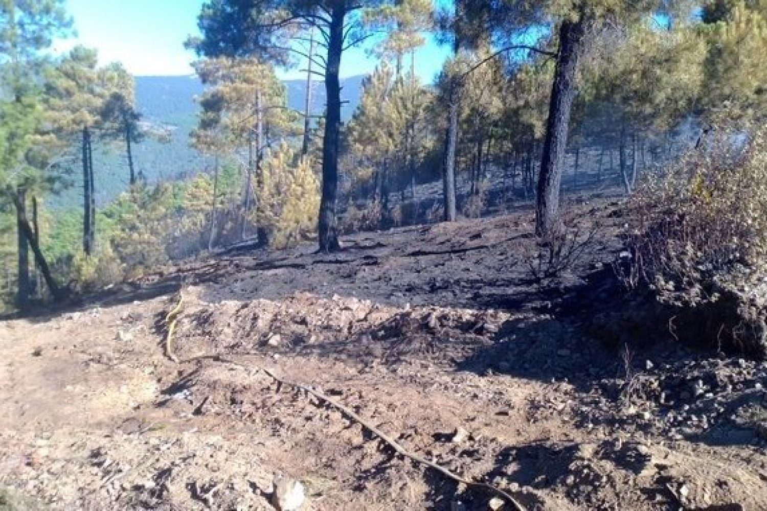 incendio hurdes