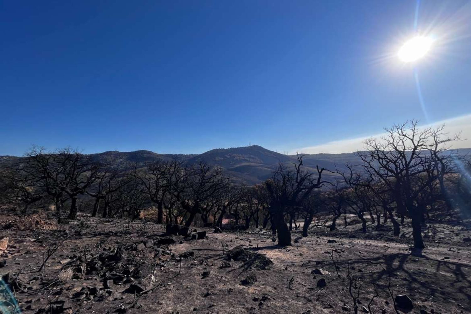 incendio miravete