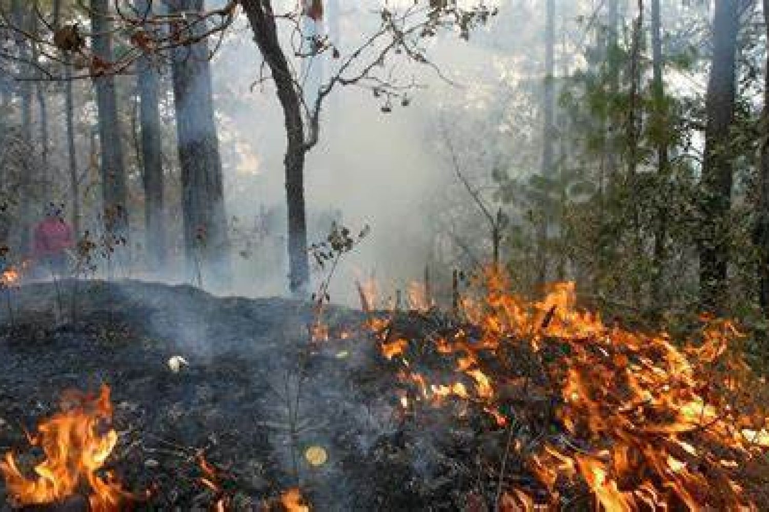 incendio