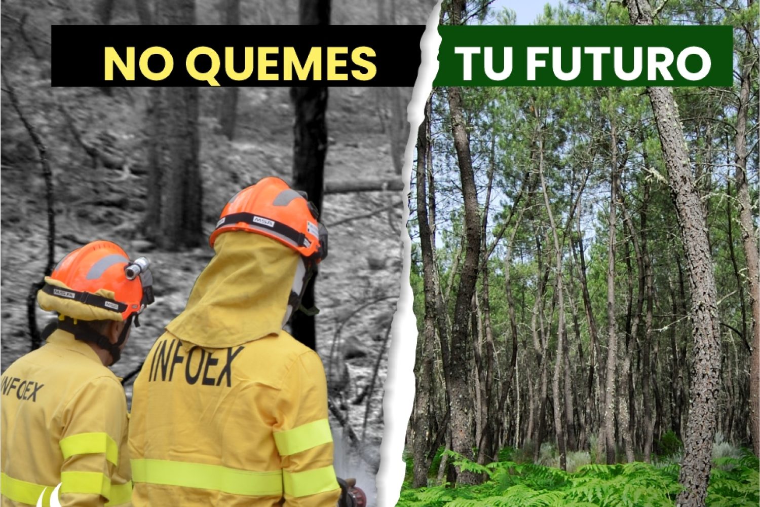 incendios