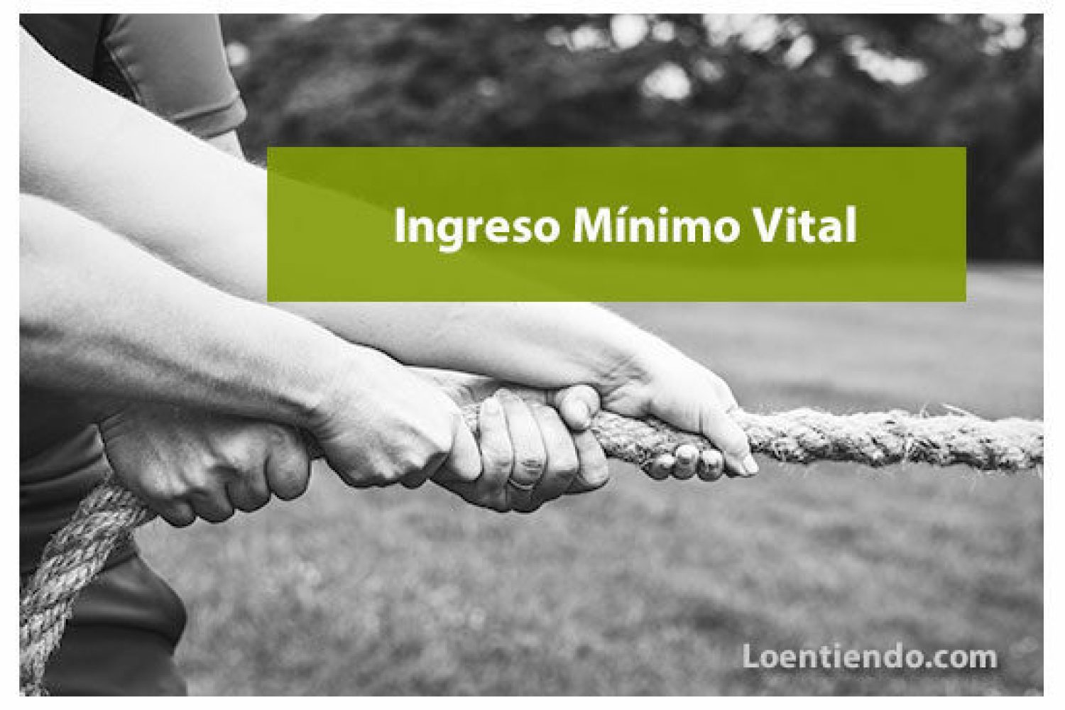 ingreso-minimo-vital-550x368