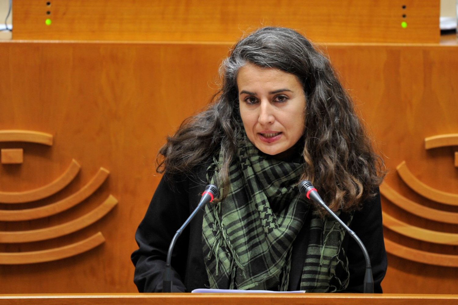irene de miguel