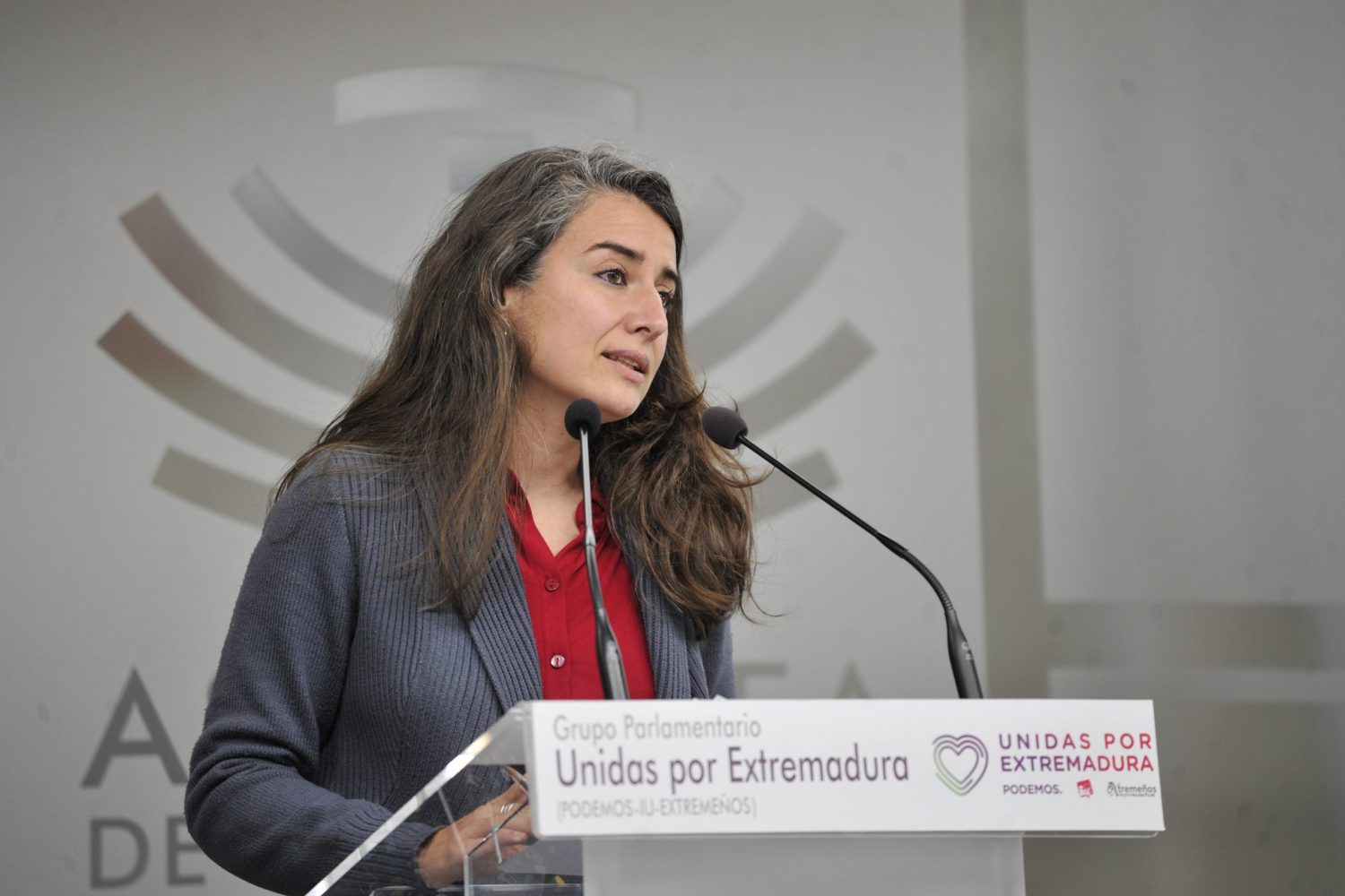 irene de miguel