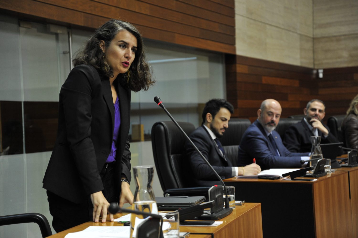 irene de miguel odemos