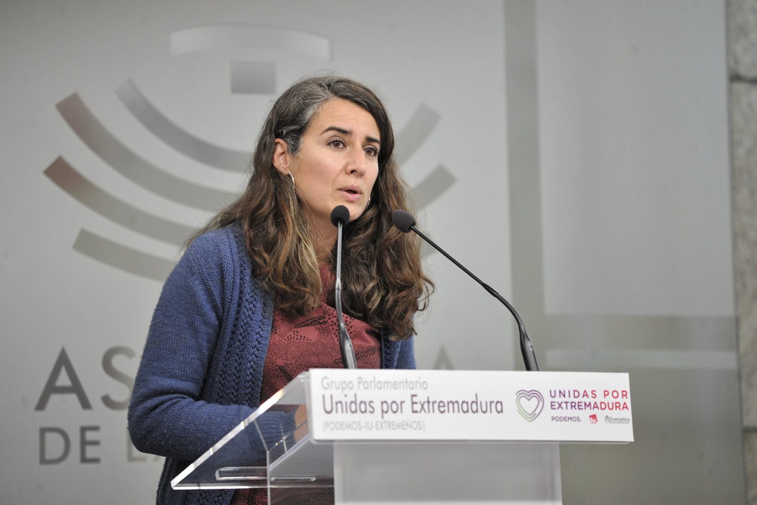 irene de miguel