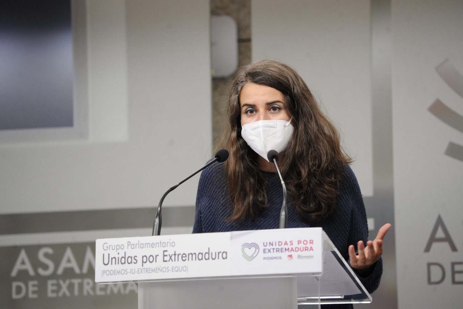irene de miguel