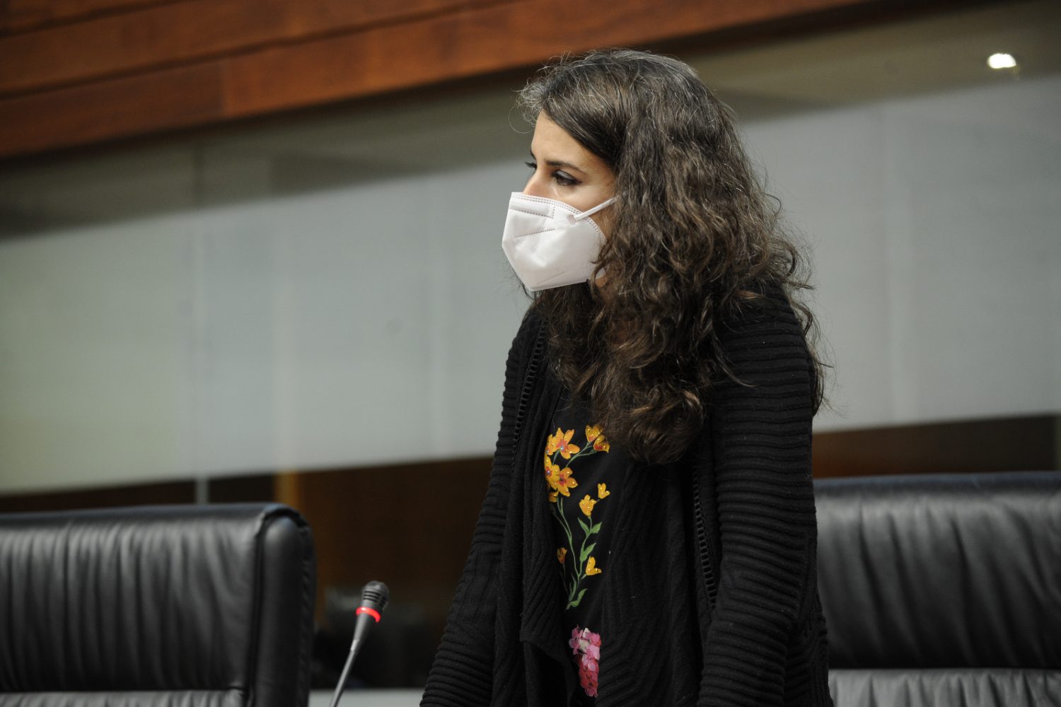 Irene de Miguel. Unidas Podemos.