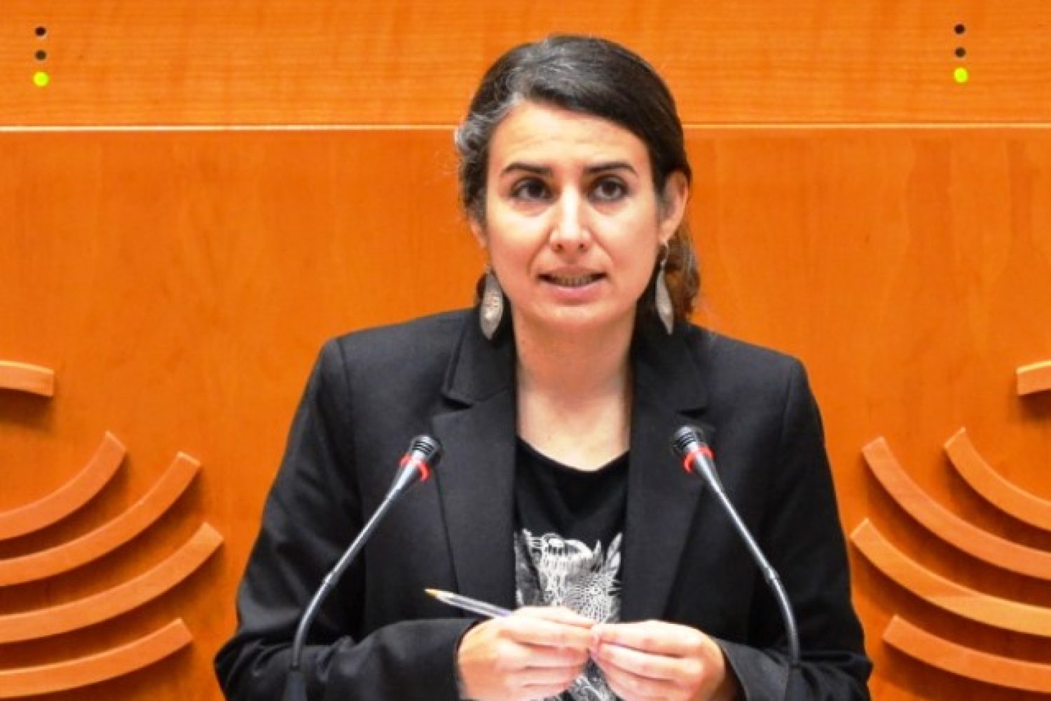 irene de miguel unidas podemos