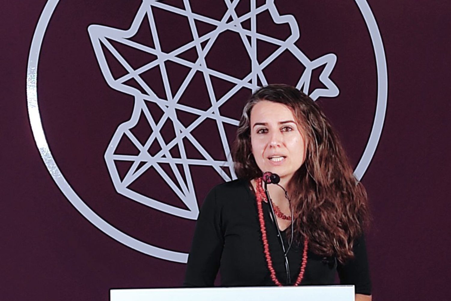 irene de miguel unidas podemos