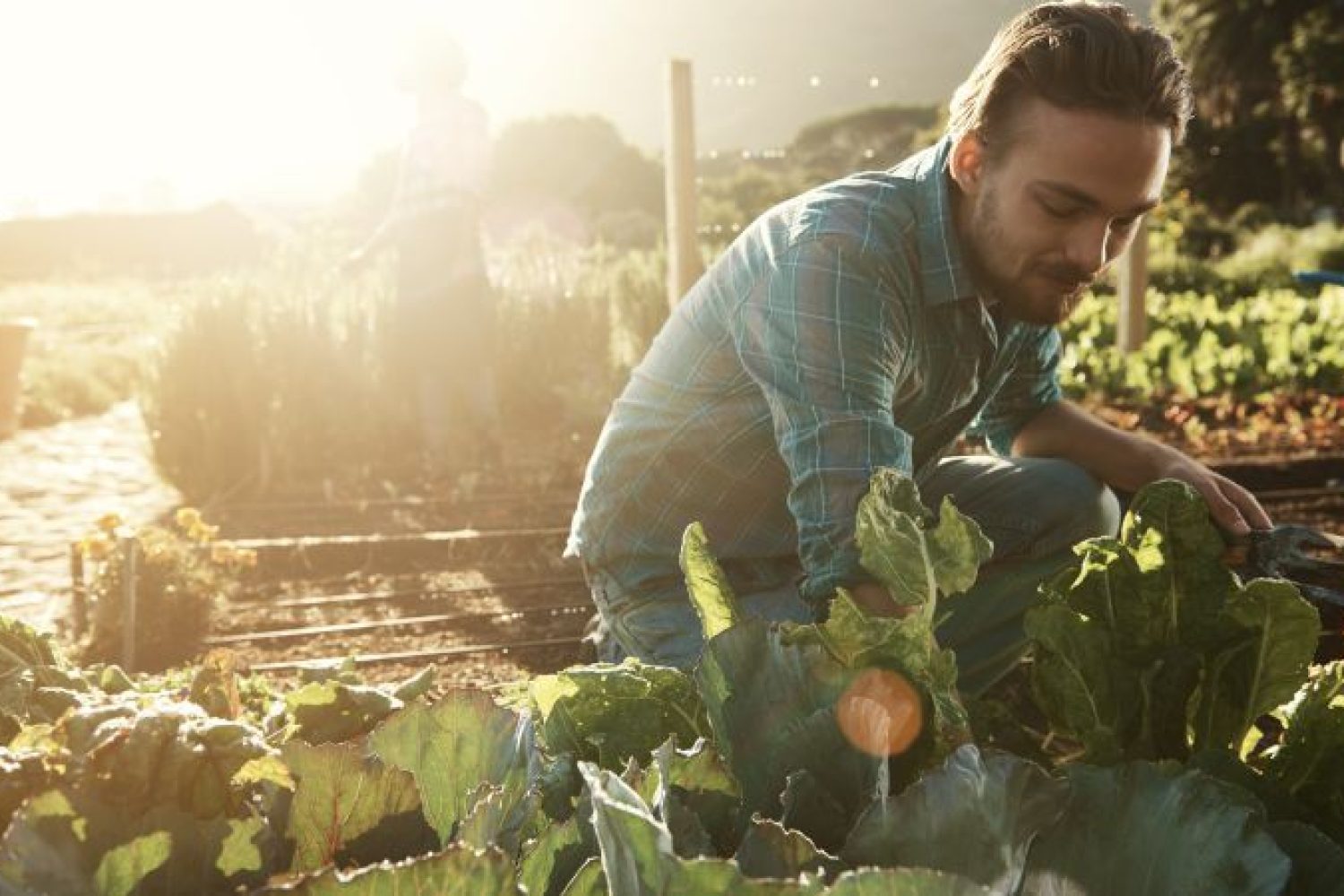 joven agricultor
