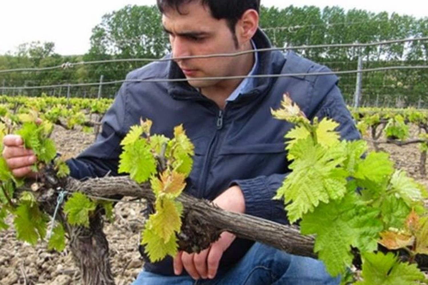 joven agricultor