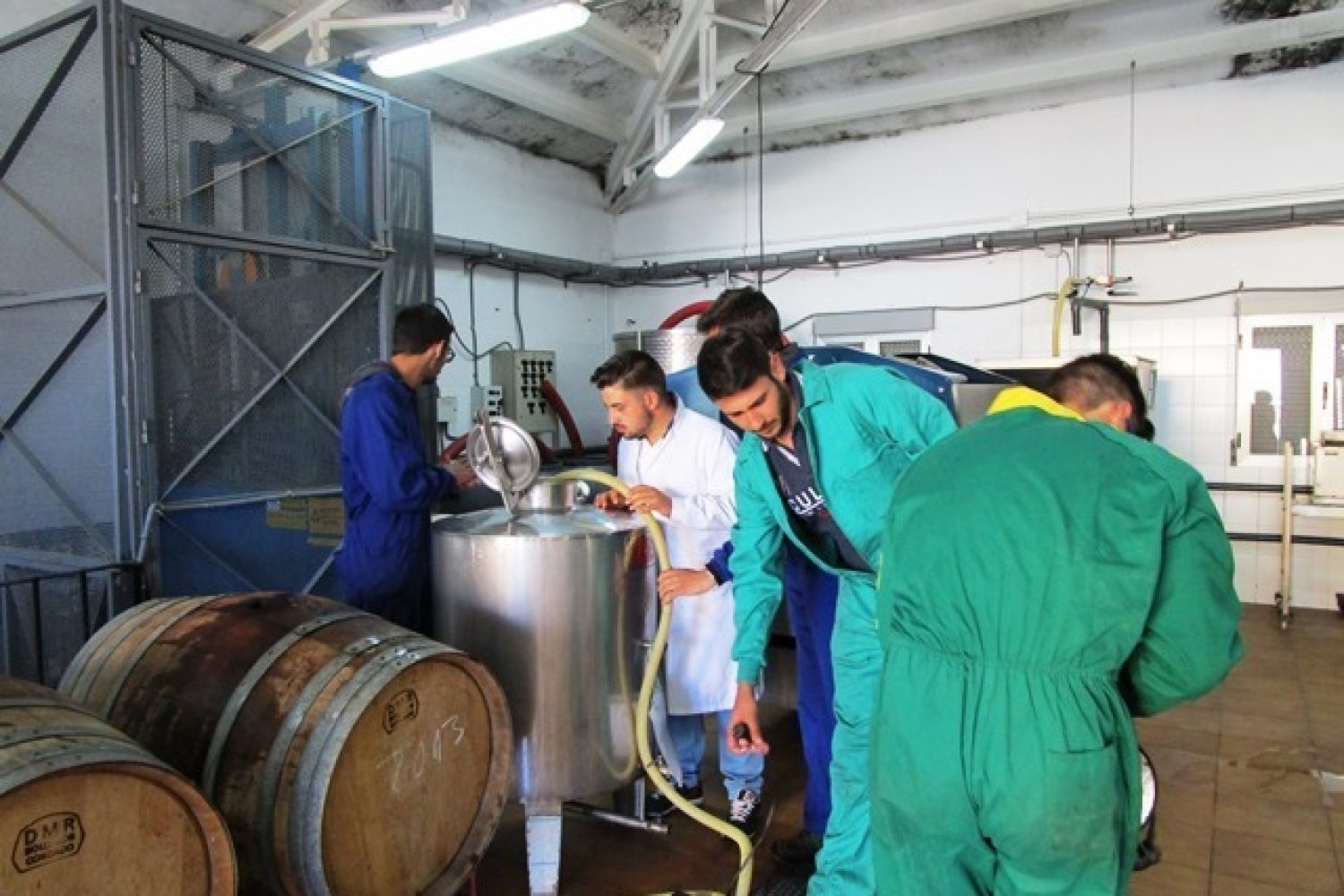 jovenes agricultores