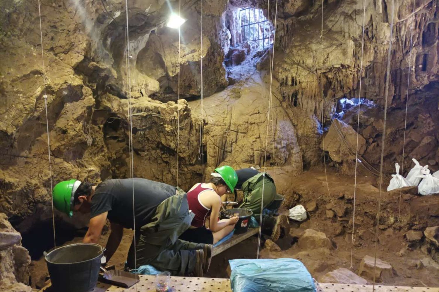 jovenes arqueologia