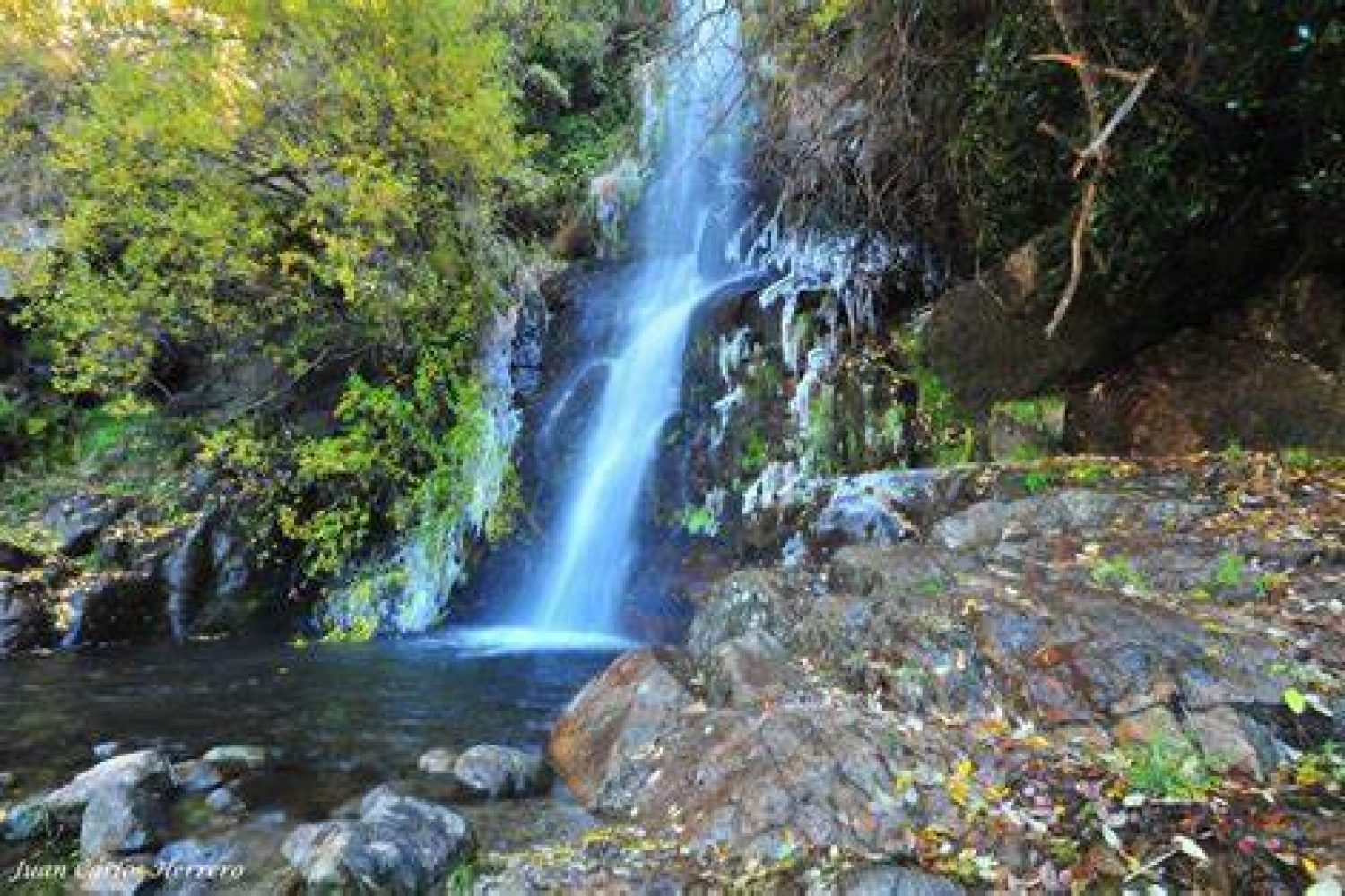 la chorrera