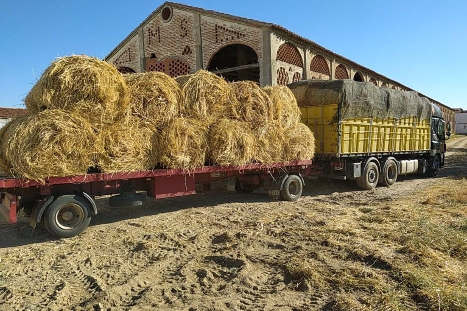 La Diputación de Cáceres continúa con la entrega pacas de heno y triticale a ganaderos afectados por los incendios
