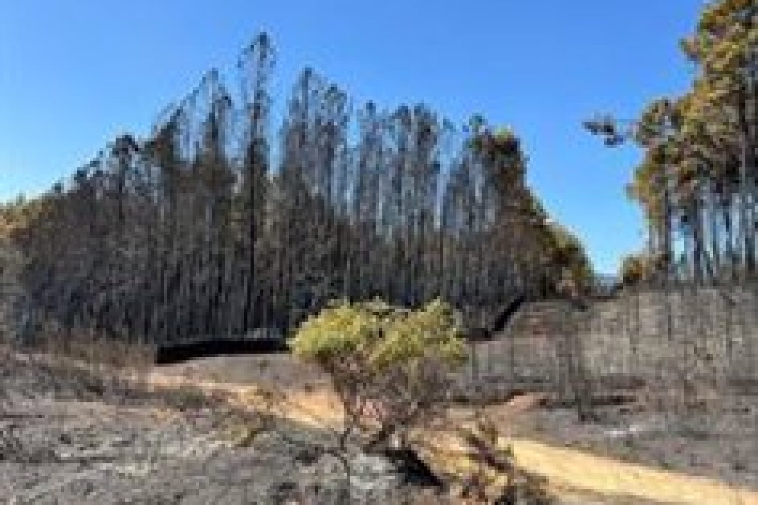 La Junta cree que el plan nacional de adaptación climatológica de colegios redundará en la calidad de la enseñanza