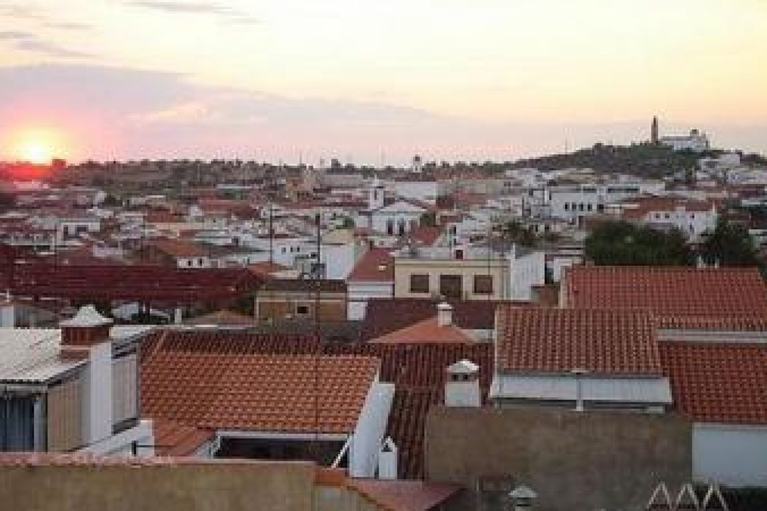la morera