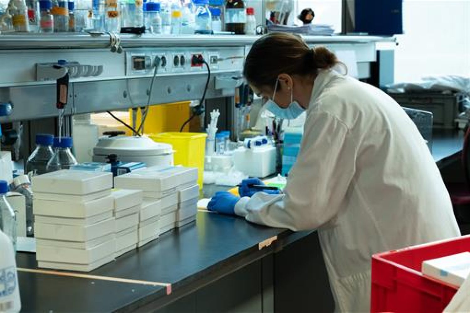 laboratorio coronavirus