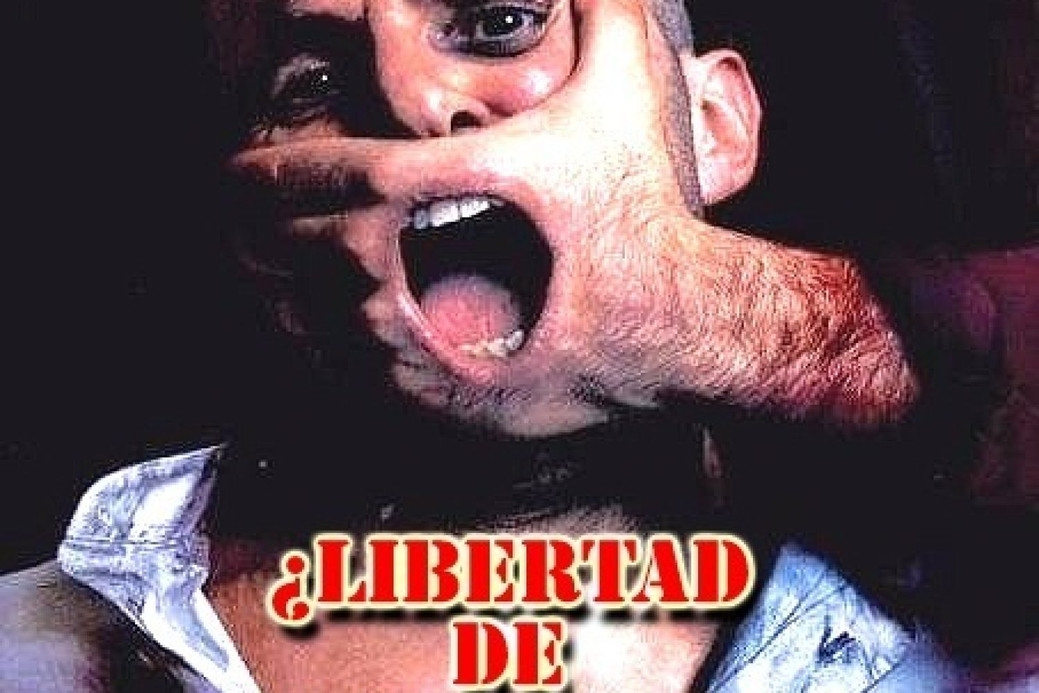 libertad de expresion