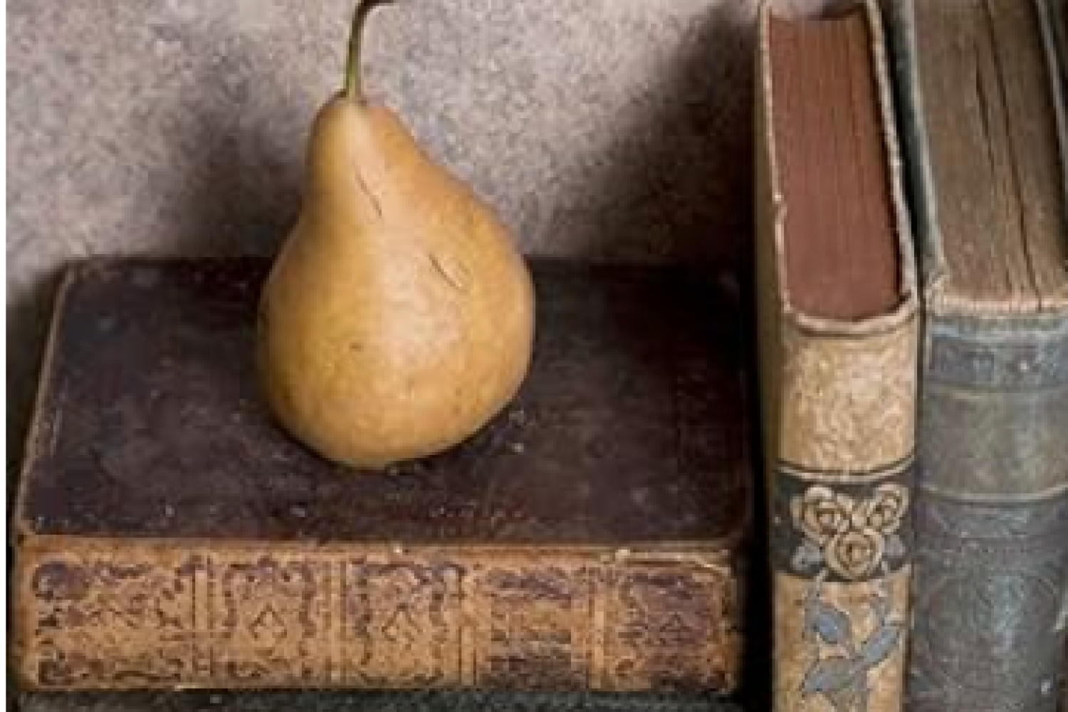 libro sarva