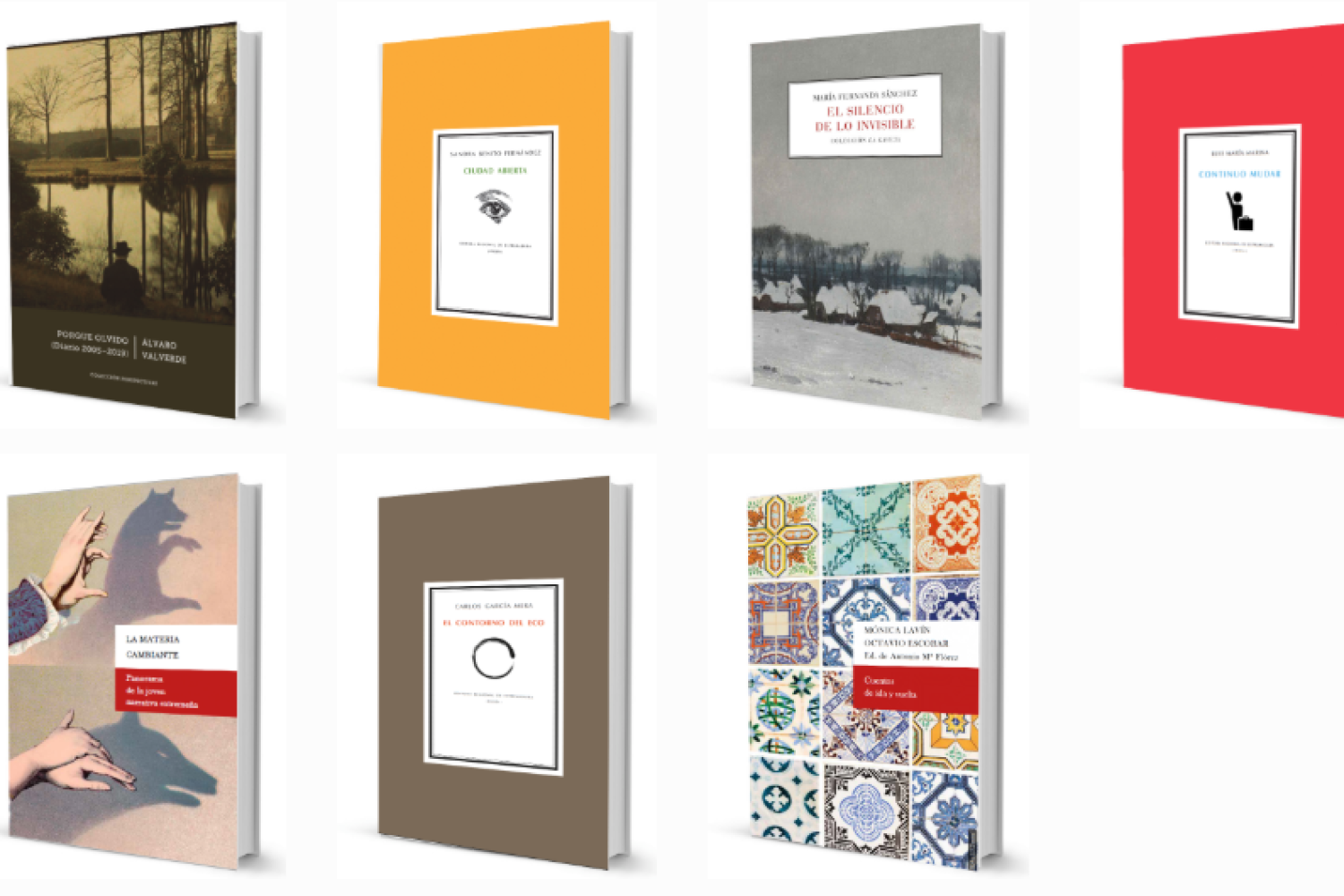 libros editora regional