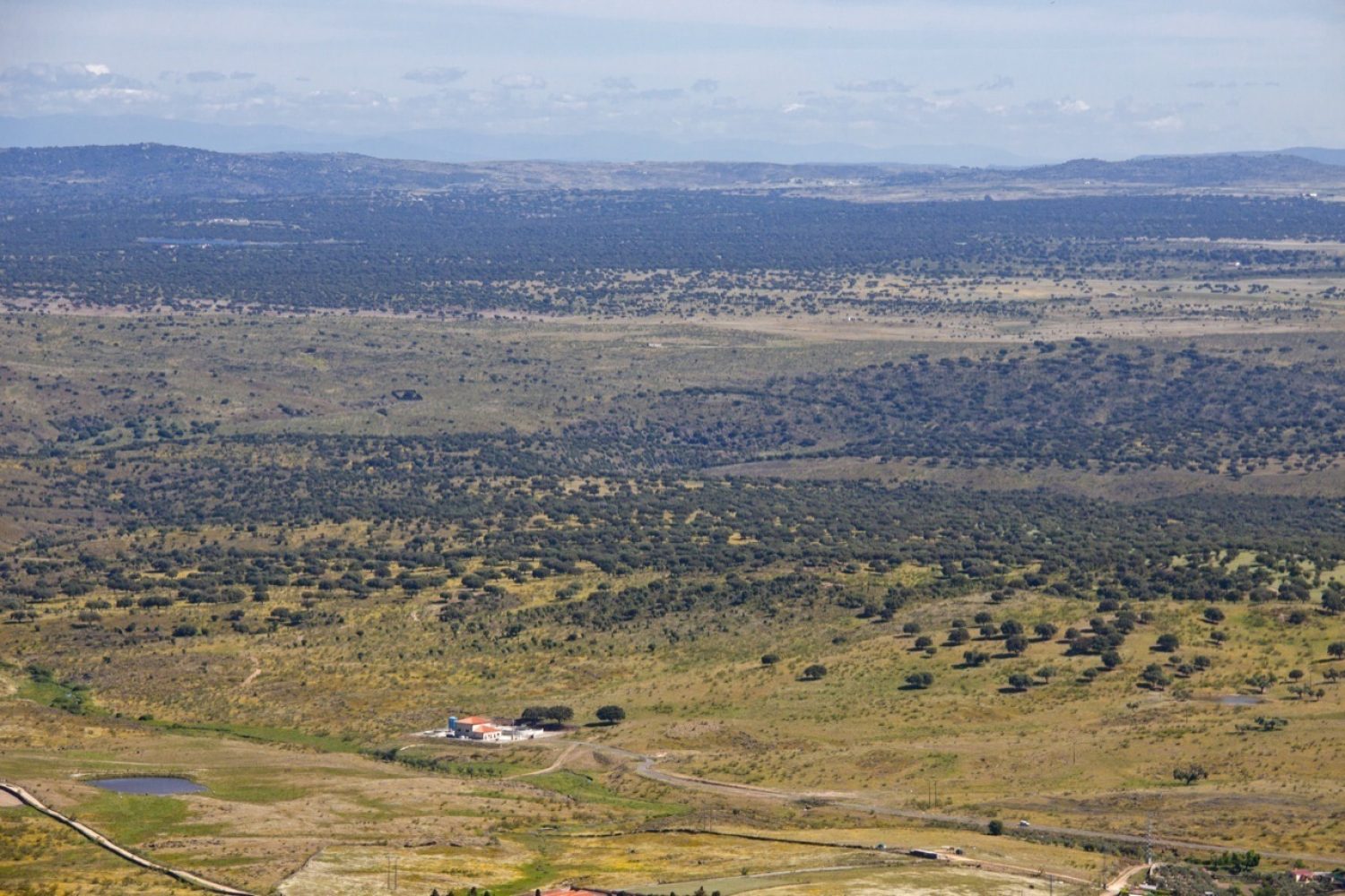 llanos de caceres