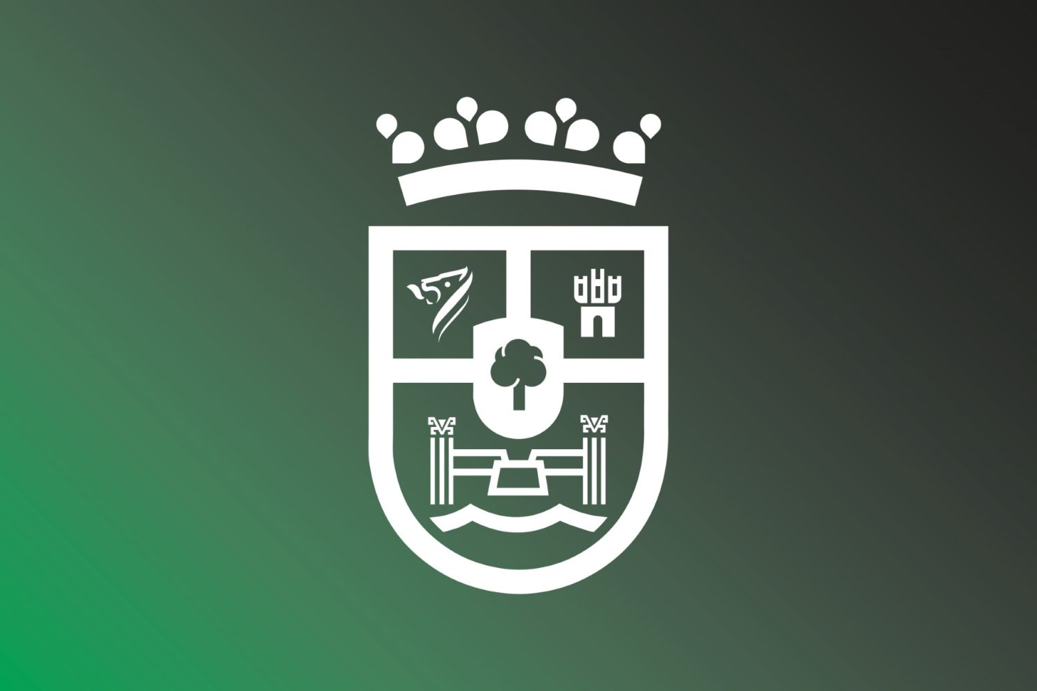 logo junta ex