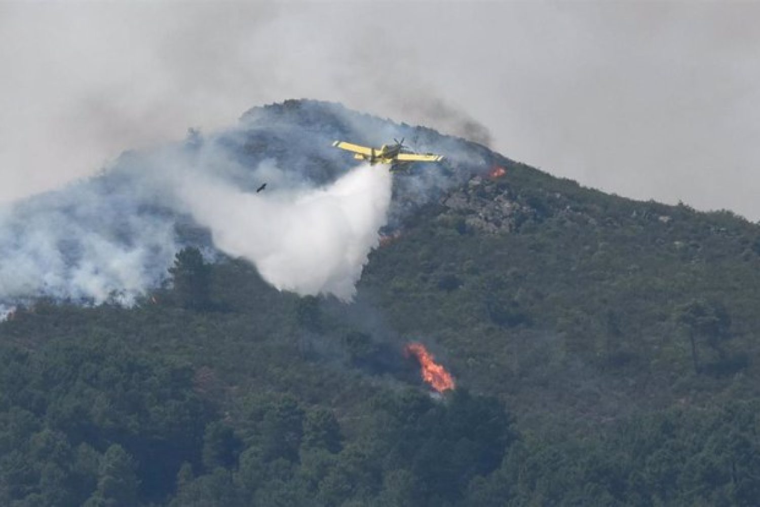 Los incendios dejan en Extremadura 700 evacuados y 6