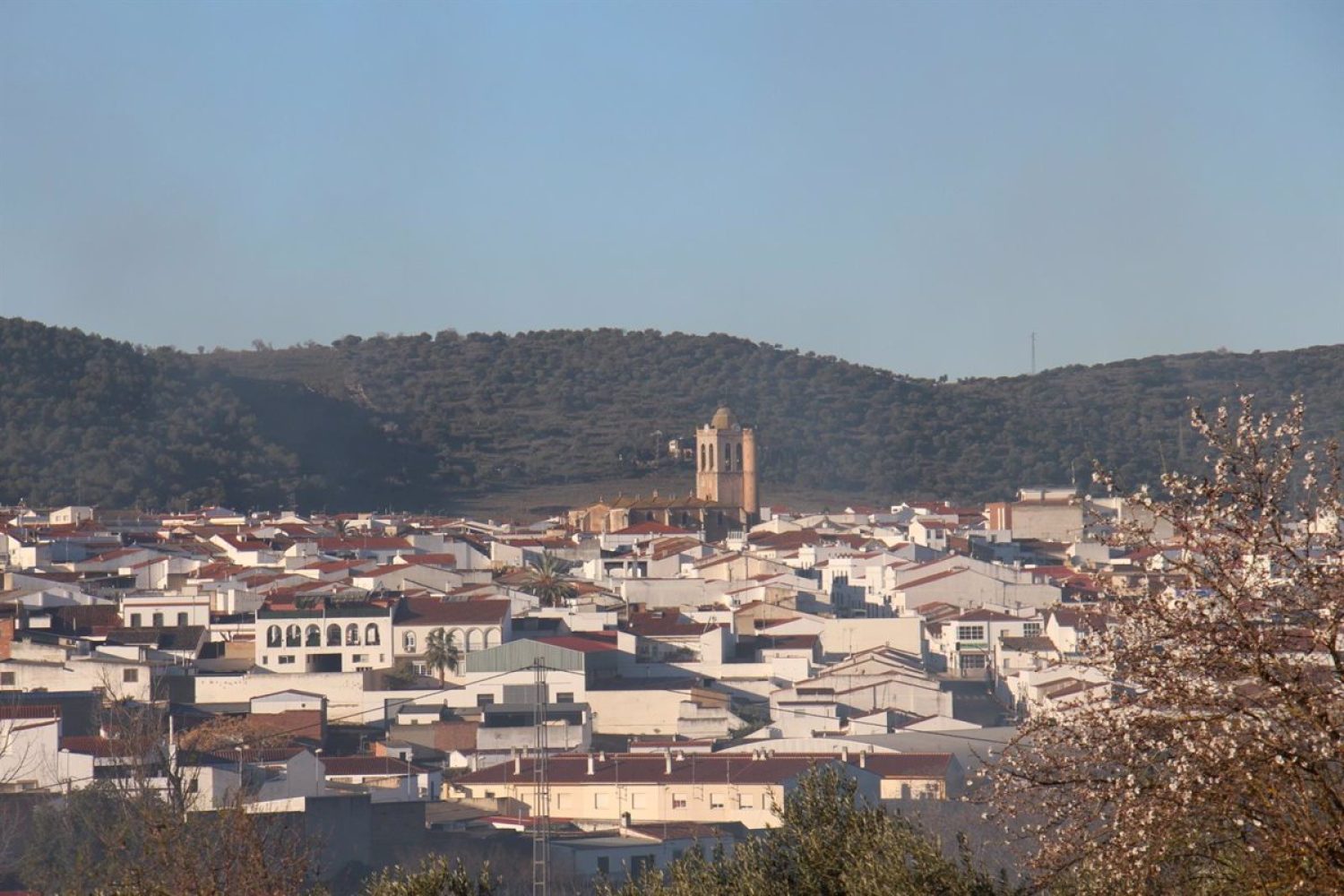 Los Santos de Maimona celebra del 16 al 28 de agosto la Fiesta de la Vendimia y la Semana Cultural de la Uva Eva o Beba