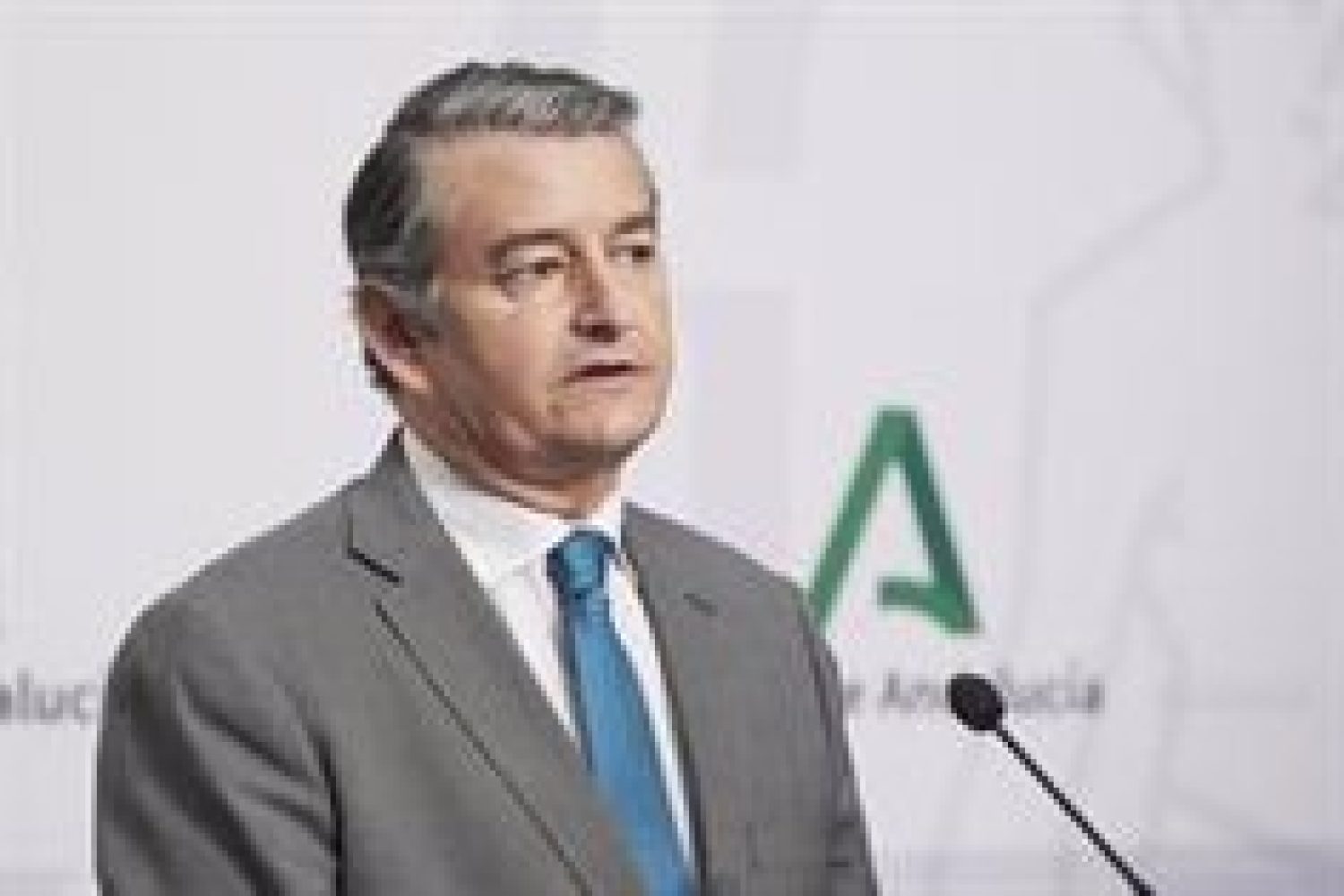Macarena Olona anuncia que abandona la política por motivos de salud
