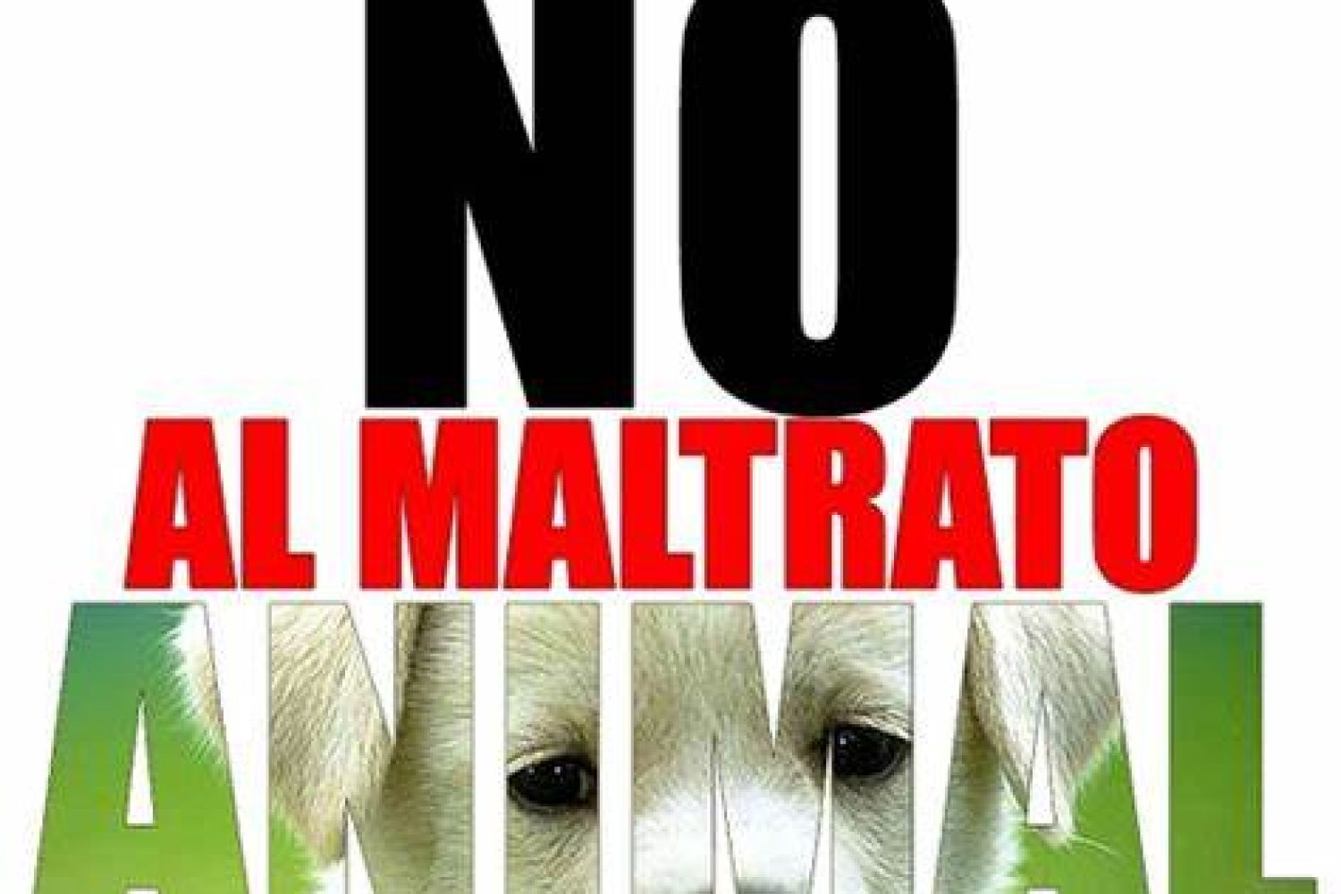 maltrato animal
