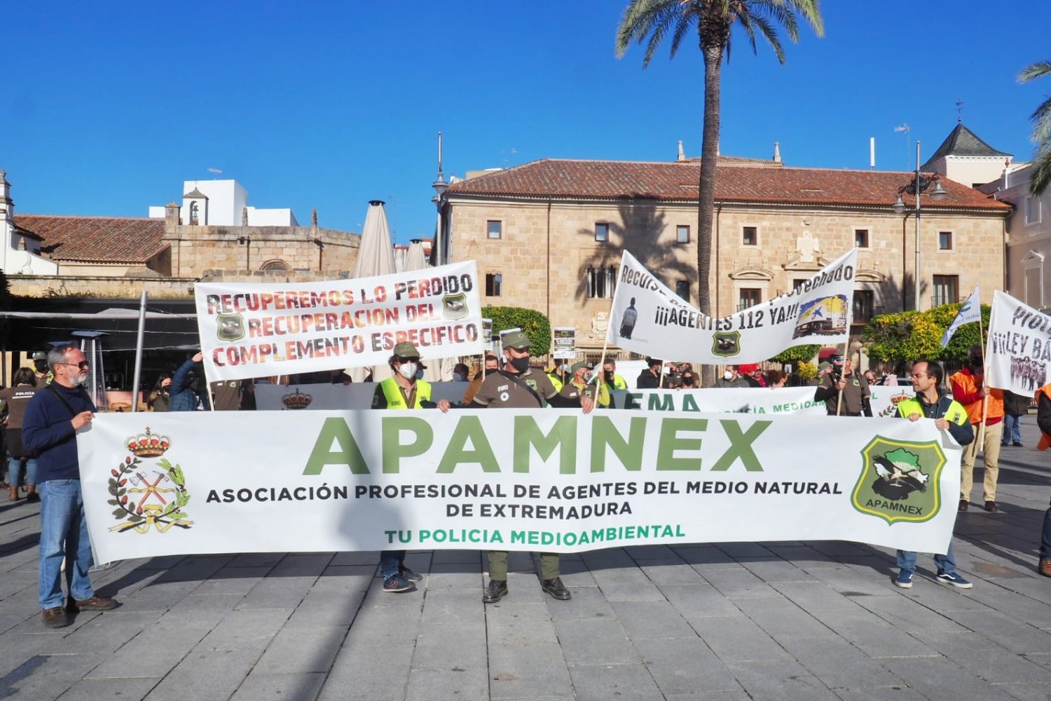 manifa apamnex