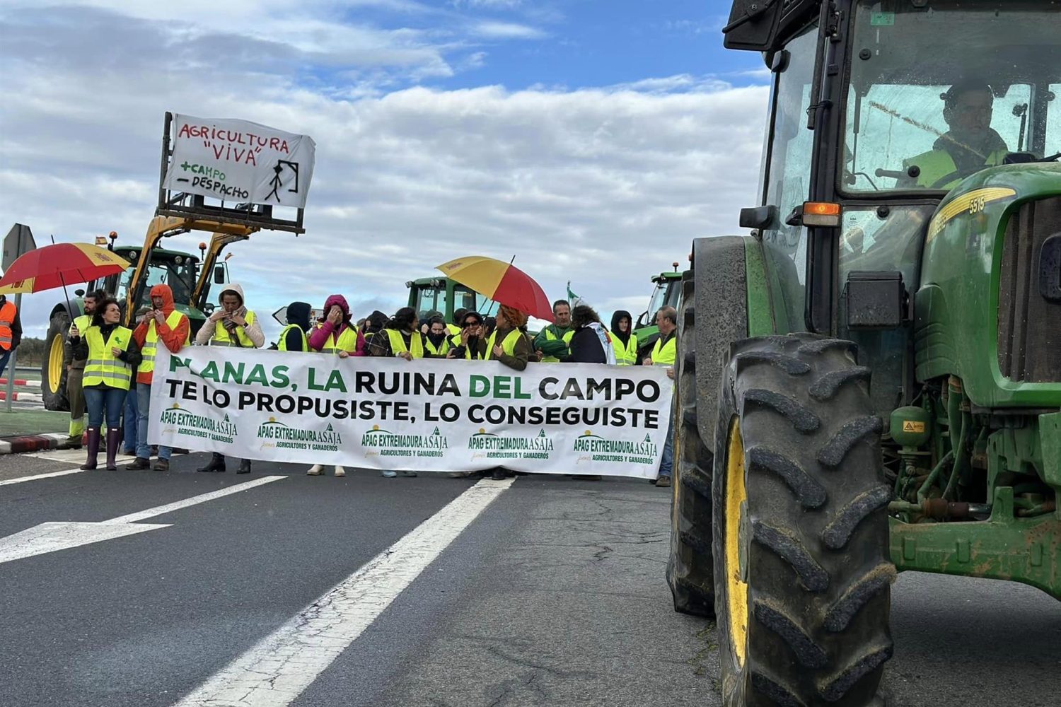 manifa asaja