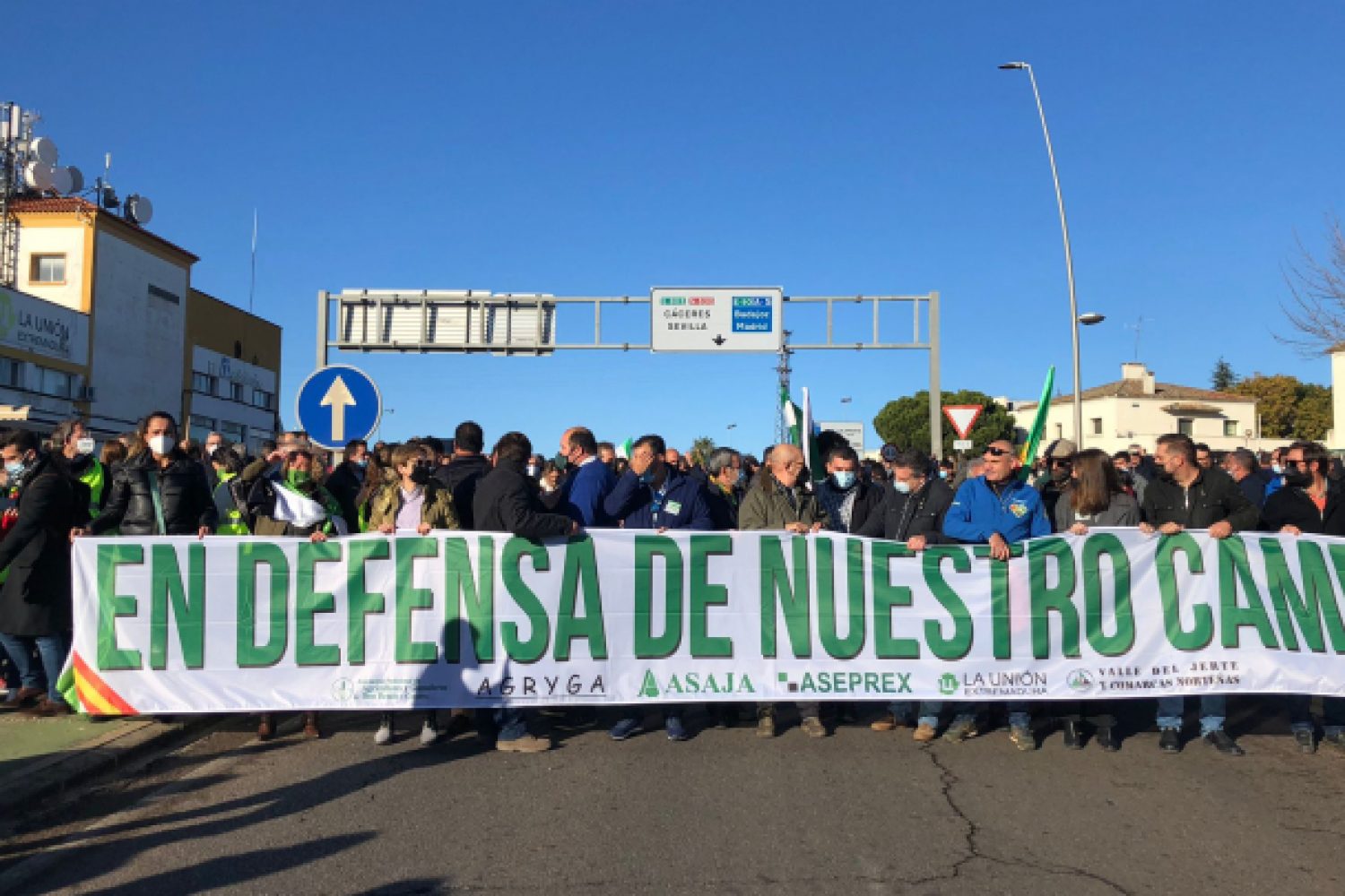 manifa campo