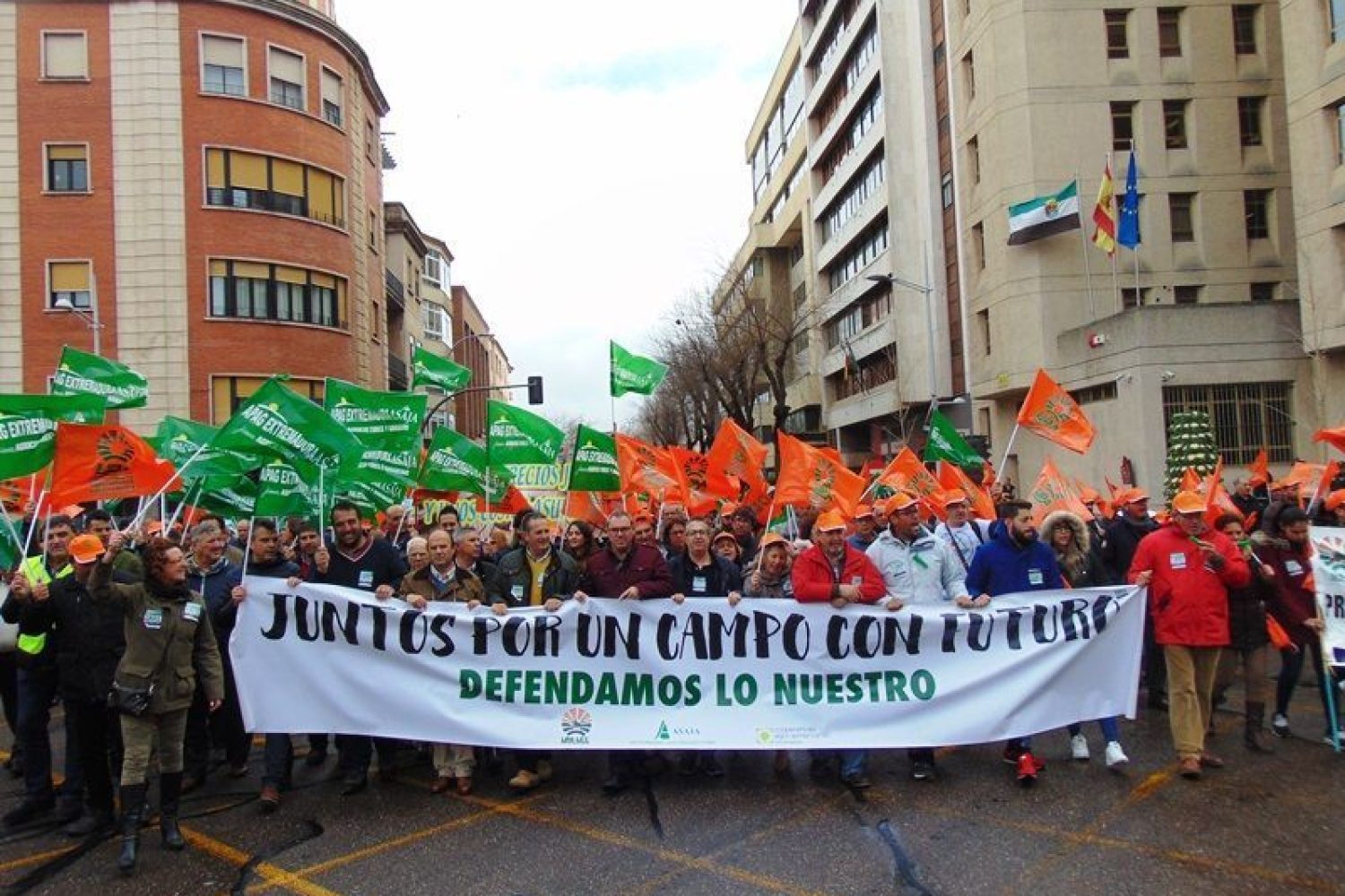 manifestacion