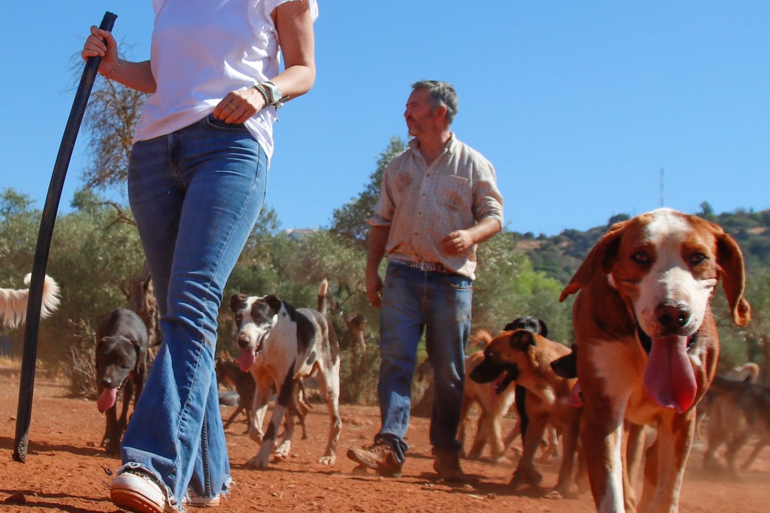 CACERES. FINCA CANTARRANA. MARIA GUARDIOLA ATENDERA A LOS MEDIOS CON MOTIVO DE SU VISITA A LA FINCA DEL CAZADOR JUAN ANTONIO CACERES. VALORARA LAS CONSECUENCIAS PARA EL SECTOR CINEGETICO Y LA SOSTENIBILIDAD DEL MUNDO RURAL DEL ANTEPROYECTO DE LEY DE PROTECCION ANIMAL