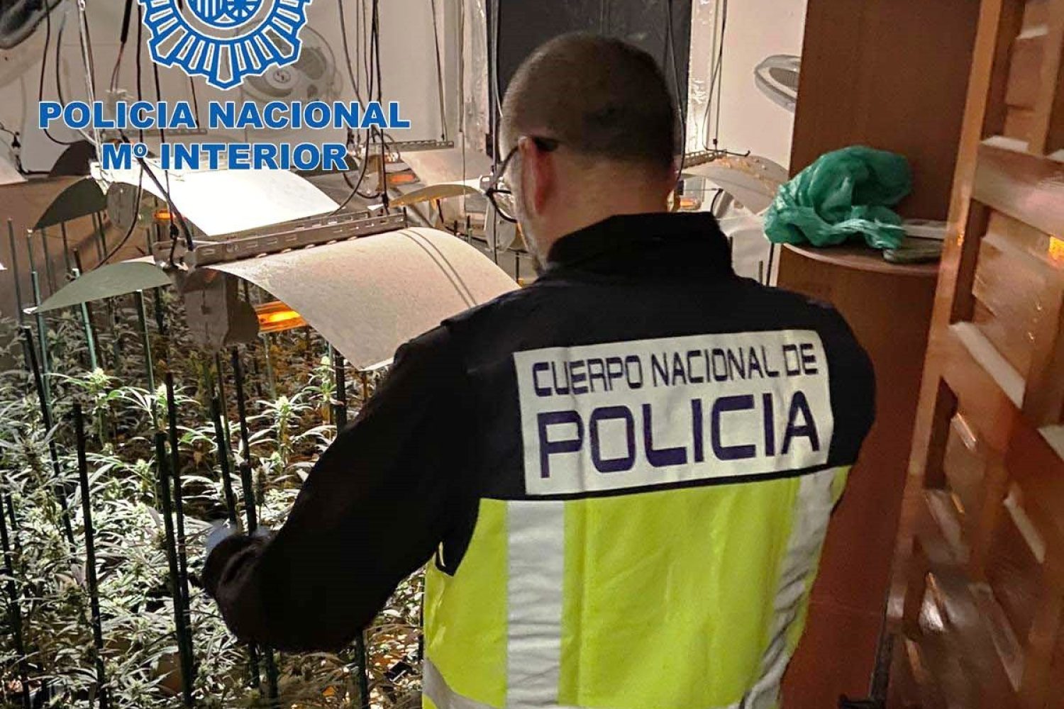 marihuana merida