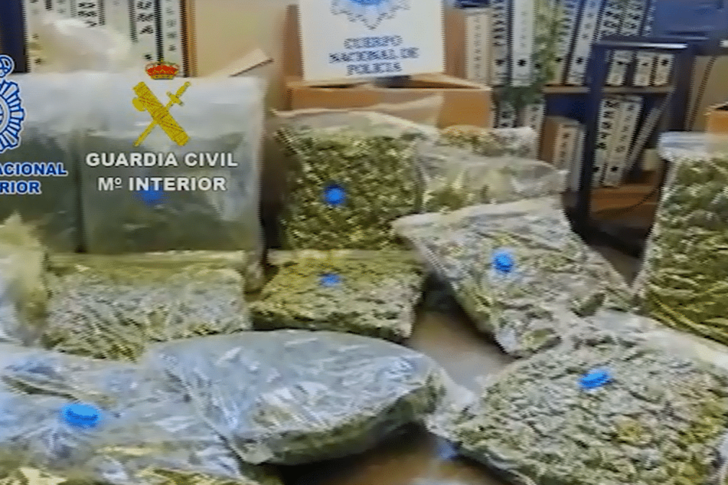 Imagen cedida por la Policía y la Guardia Civil.