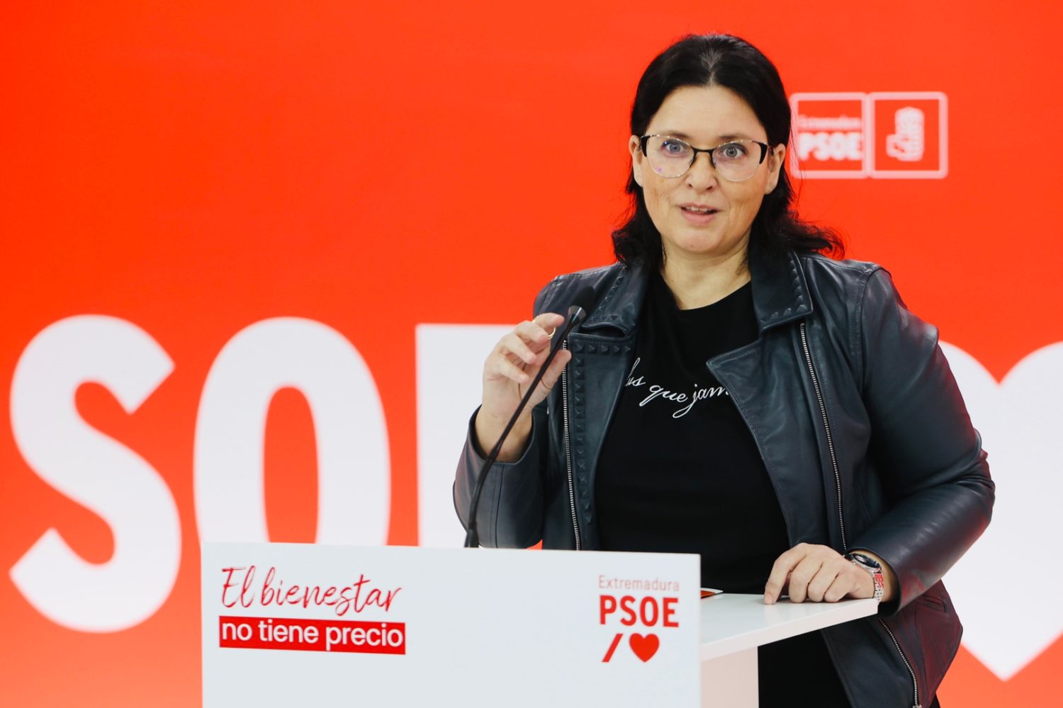 marisol mateos psoe