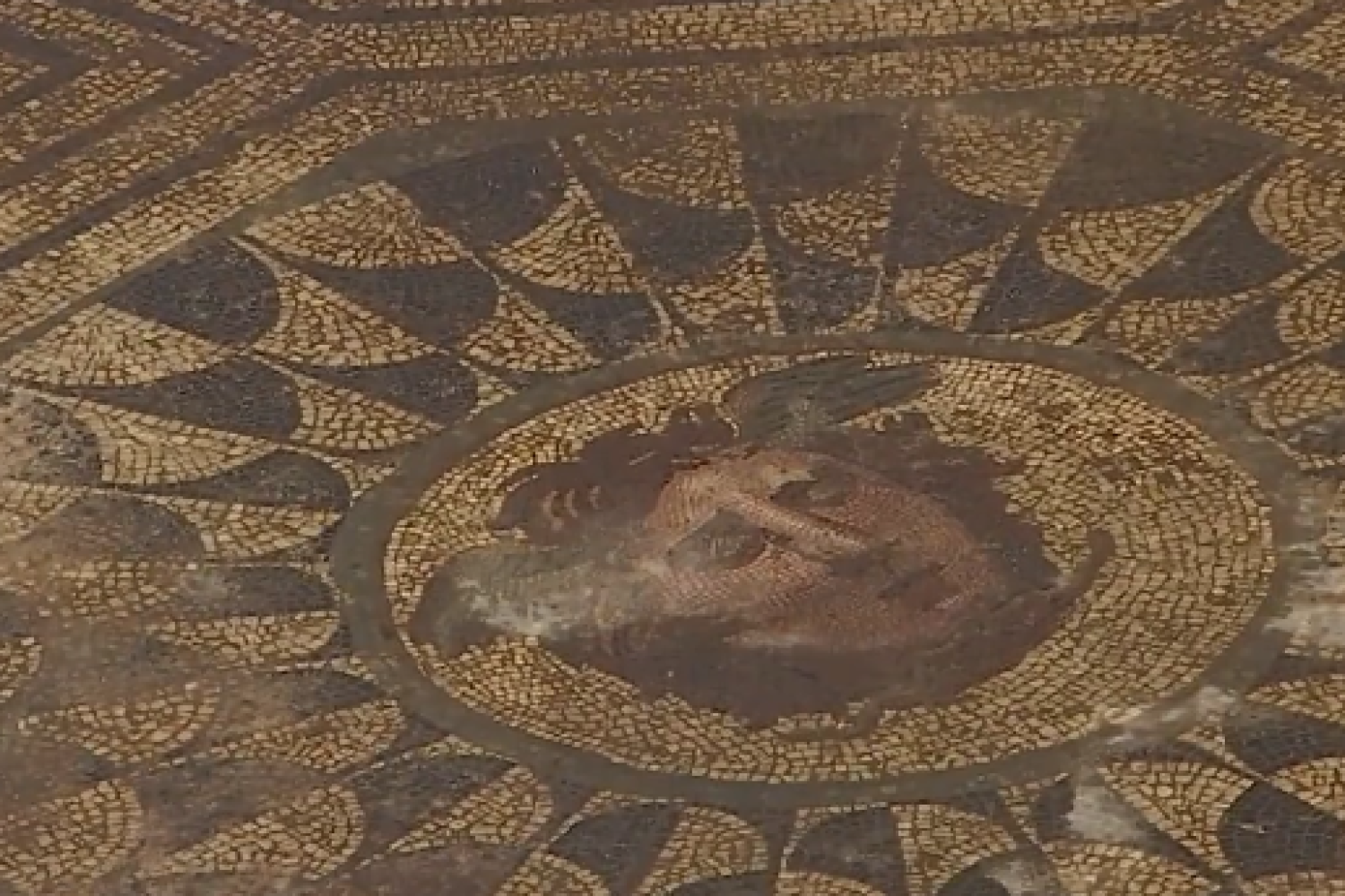 medusa mosaico