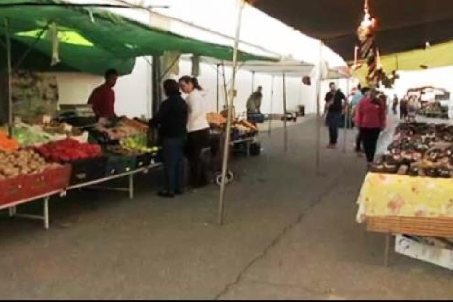 mercadillos_casar_de_caceres_301013_0.png