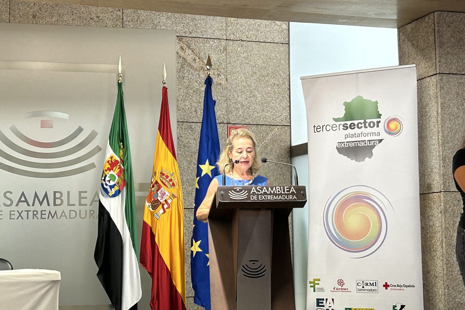 mercedes vaquera