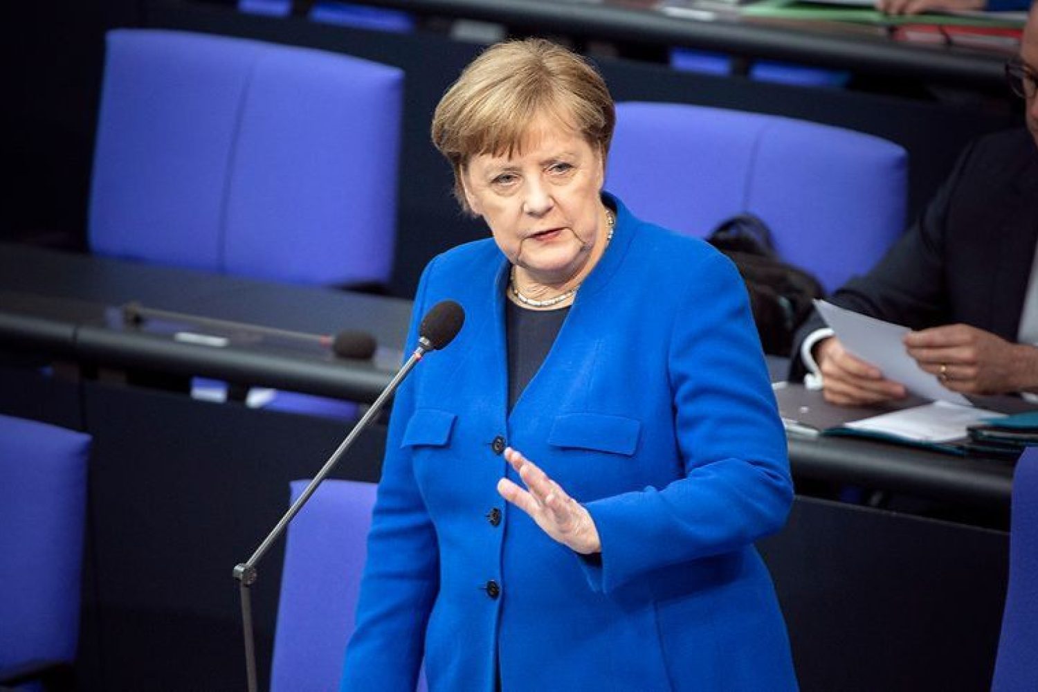 merkel