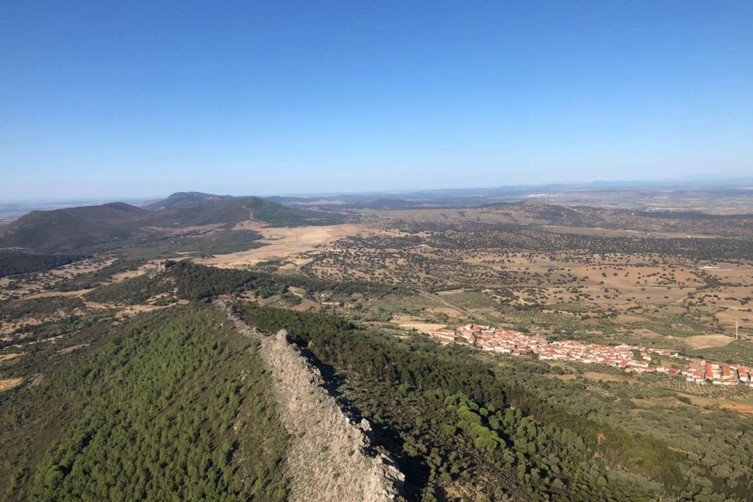 mirabel campo