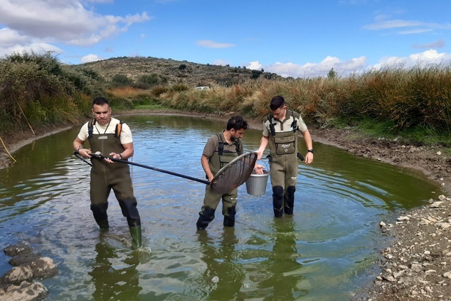 muestreo peces