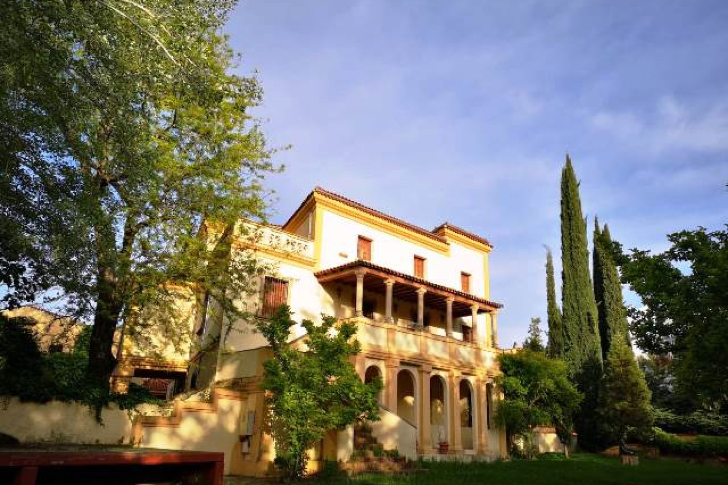 museo pedrilla