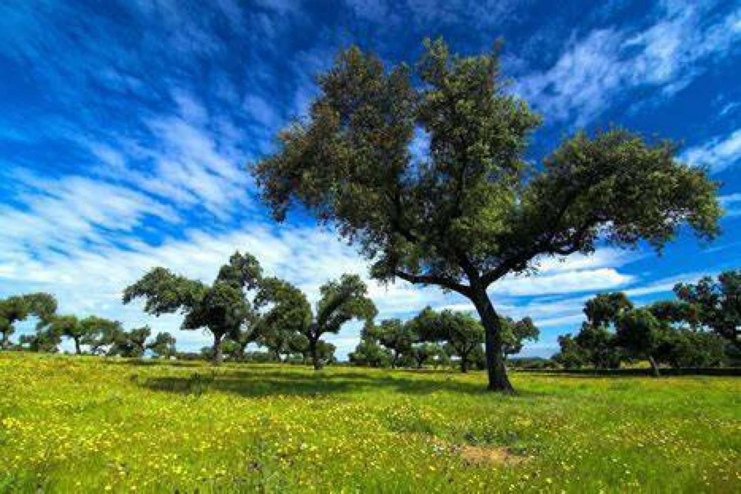 naturaleza