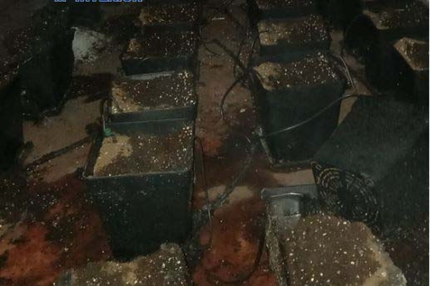 nave incendio plantas