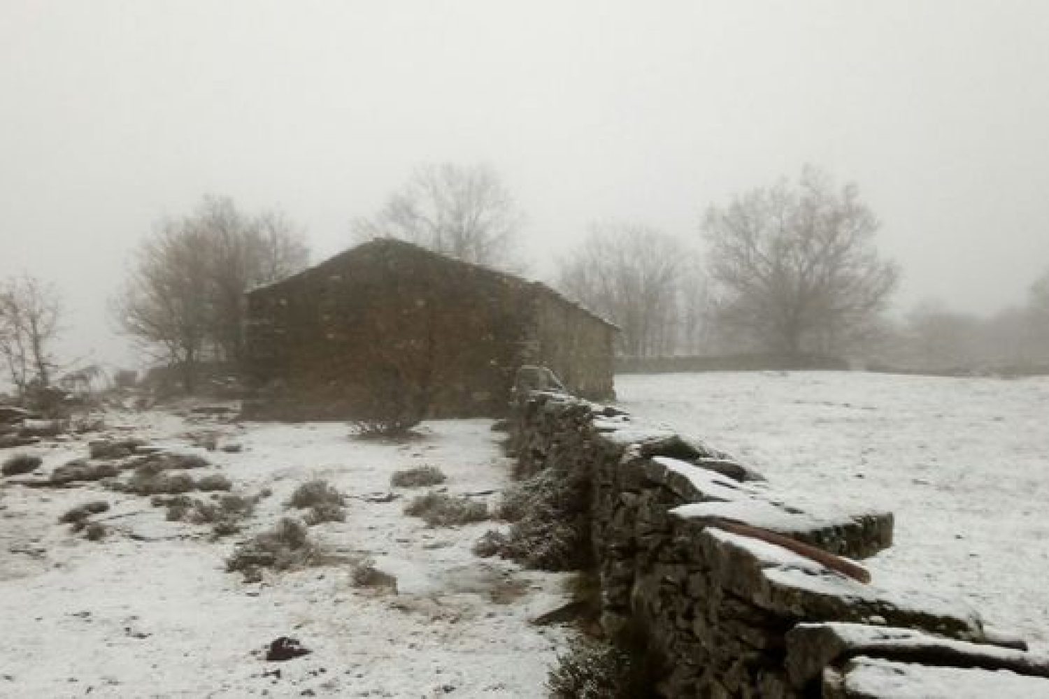 nevadas